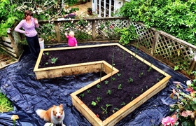 November - Journal Entries