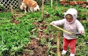 October - Journal Entries