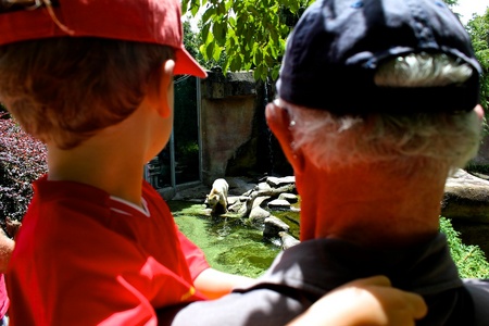 helps with Grandad picking him up to see helps with Grandad picking him up to see