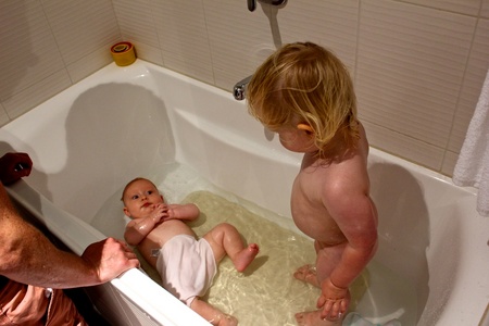 The giant Olive - no tears this time! The giant Olive - no tears this time!