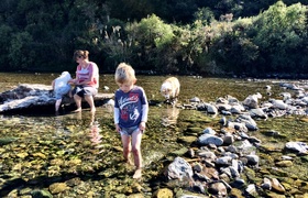 Camping Kaitoke