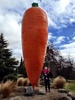 The Giant Carrot