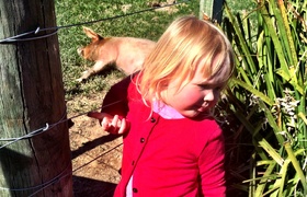 Ohakune Snow Getaway