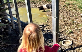 Ohakune Snow Getaway