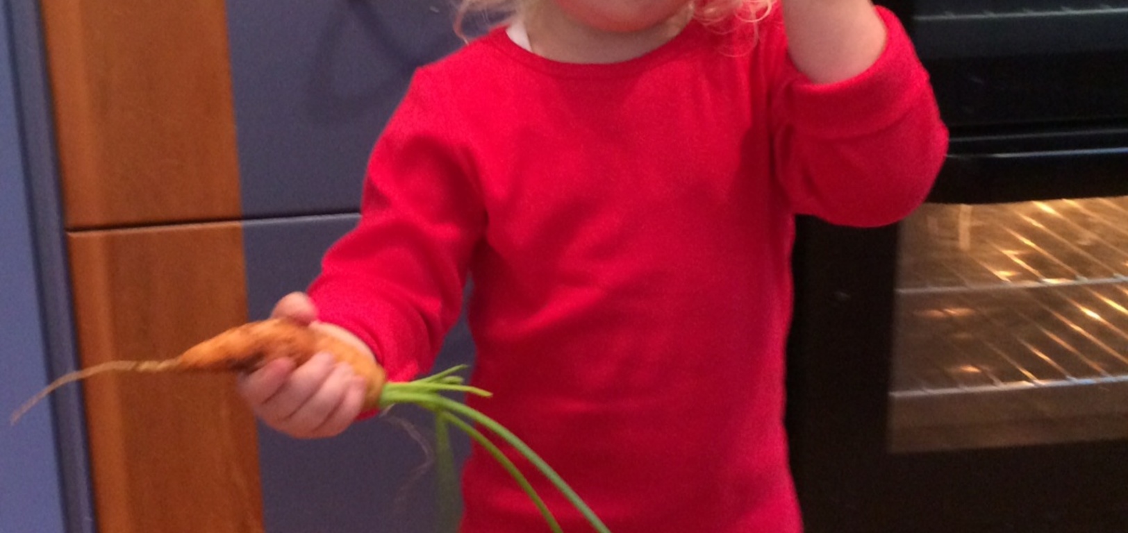 We decided to dig up some potatoes and carrots - finally ready!