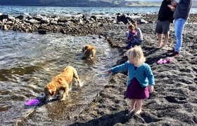 April - Journal Entries