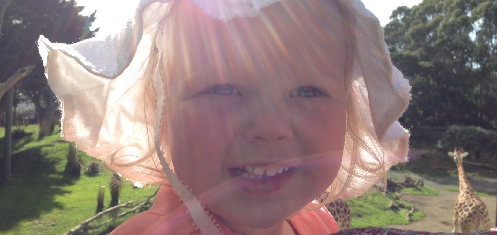 Off at the zoo with the Turner grandparents. Loved the giraffes and chimps. M&D got some more painting done!