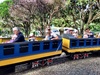 Olive & daddy enjoyed a few train rides with the fello dads for Zac's 3rd birthday party at Aotea Lagoon.
