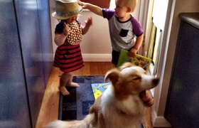 February - Journal Entries