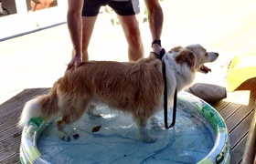 February - Journal Entries