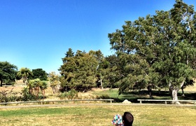 January - Journal Entries