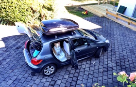 January - Journal Entries