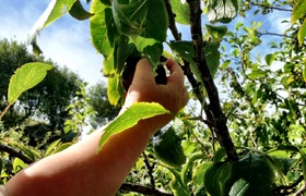 January - Journal Entries