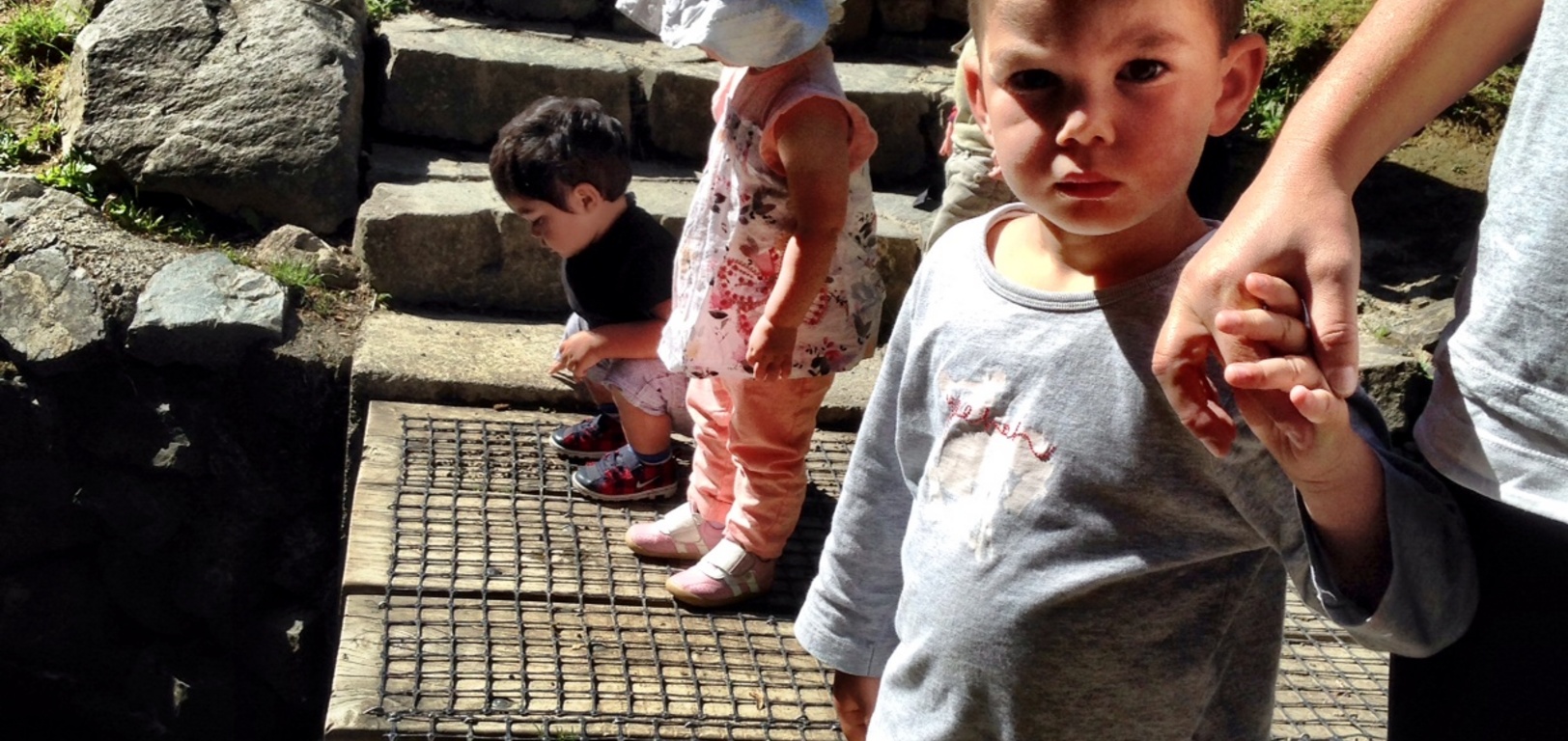 Lisa and I braved the circular track into Wilton bush with Rico, Louis, Olive and her soft toy cat(huge as it deserves a mention). They did so well! And we had some yummy lamingtons in the park. Lots of lovely tracks and dog friendly, we will be coming back!