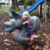 Greytown Playground fun.