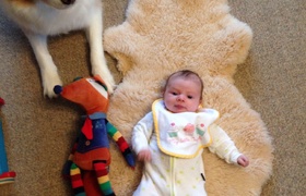 July - Journal Entries