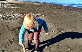 June - Journal Entries