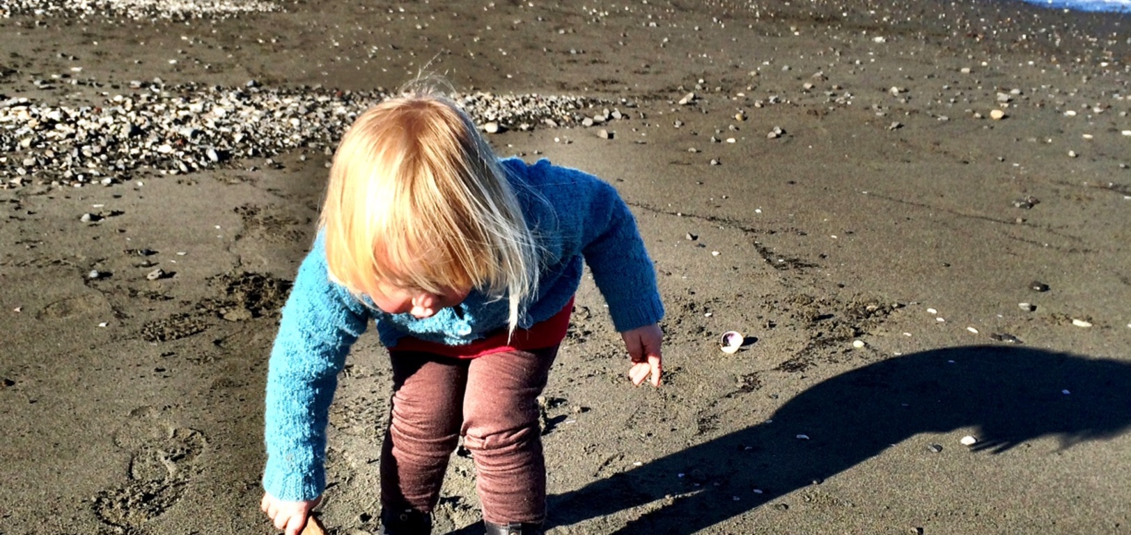 Fun at Petone beach on a crisp but beautiful morning.