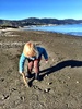 Fun at Petone beach on a crisp but beautiful morning.