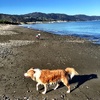 Fun at Petone beach on a crisp but beautiful morning.