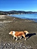 Fun at Petone beach on a crisp but beautiful morning.