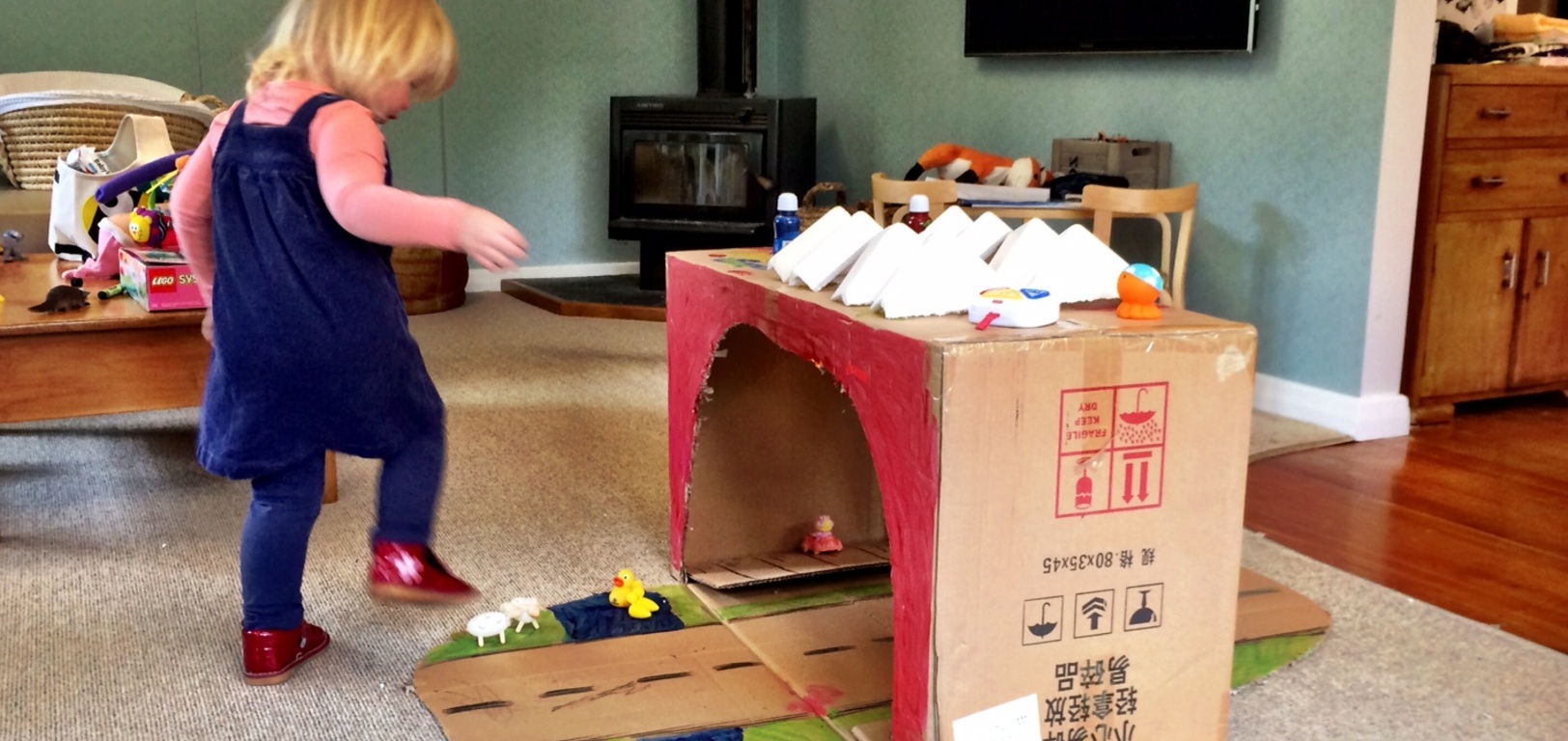 Fun with a box on a rainy inside day.
