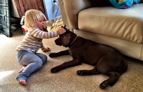 March - Journal Entries