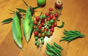 March - Journal Entries