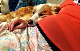 March - Journal Entries