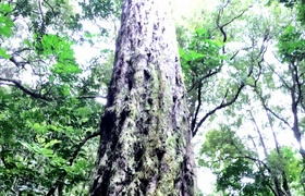 March - Journal Entries