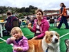 We went for a family walk and discovered the Karori West School fair was on. Food stalls, pet show, cheap toys, cupcakes and candy floss! Classic old school where we can see Olive in a few years time!