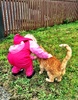 Olive loved the ginger cat on the way to the park. And the fluffy to follow. And the muddy puddles!