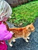 Olive loved the ginger cat on the way to the park. And the fluffy to follow. And the muddy puddles!