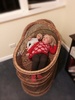 Room for two in the reinstated bassinet.