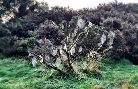 May - Journal Entries