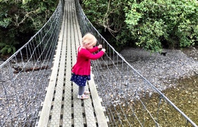 November - Journal Entries