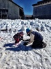 Building Olives first snowman. A glorious day up at Turoa skifield, it went better than expected with the girls!
