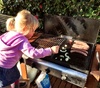 The BBQ gets a clean and a first use of the BBQ season. May it be a long and tasty one!