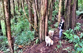 September - Journal Entries