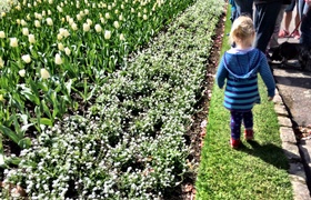 September - Journal Entries