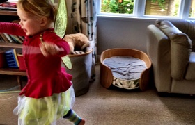 Olive Turns Three