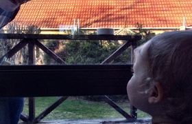 Olive & Iris's Ohakune Ice Experience