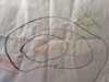 A while back when we had our live in guest Rosie the caterpillar, Olive drew some lovely pictures of what was happening. The first drawing was Rosie inside her green & gold cocoon, with leaves. The second was Rosie as a orange butterfly in a black cocoon with a green swan. Third was Rosie flying with her big orange wings and legs. Just magic.