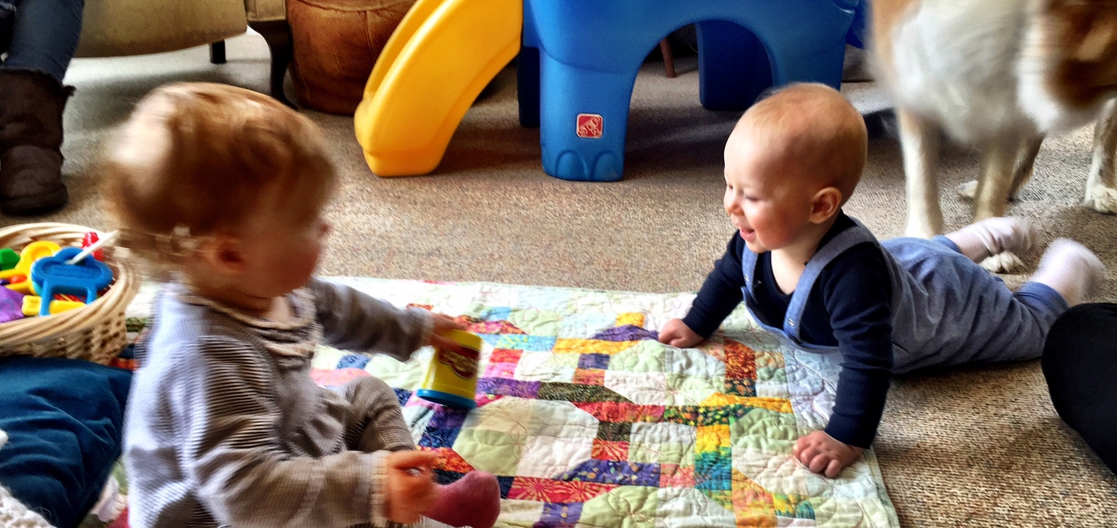 Cousin Ben comes for a play date! Loved giving Iris and Lyon cuddles. Such a happy wee fellow.