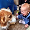Cousin Ben comes for a play date! Loved giving Iris and Lyon cuddles. Such a happy wee fellow.