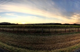 December - Journal Entries