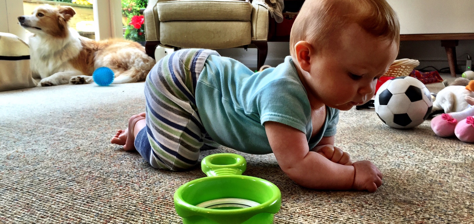 Iris got up to all sorts of mischief while mummy and Olive were at Kindy and Nan had left. Including taking the bottle!