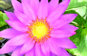 January - Journal Entries