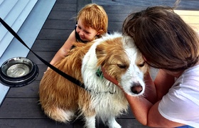 January - Journal Entries