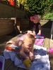 A hot day. With Olive under the weather with strep throat we kicked around home and had a lovely afternoon cooling off in the paddling pool. Iris loved exploring the deck, yes she is moving around, circular movements with feet pushing is quite affective.